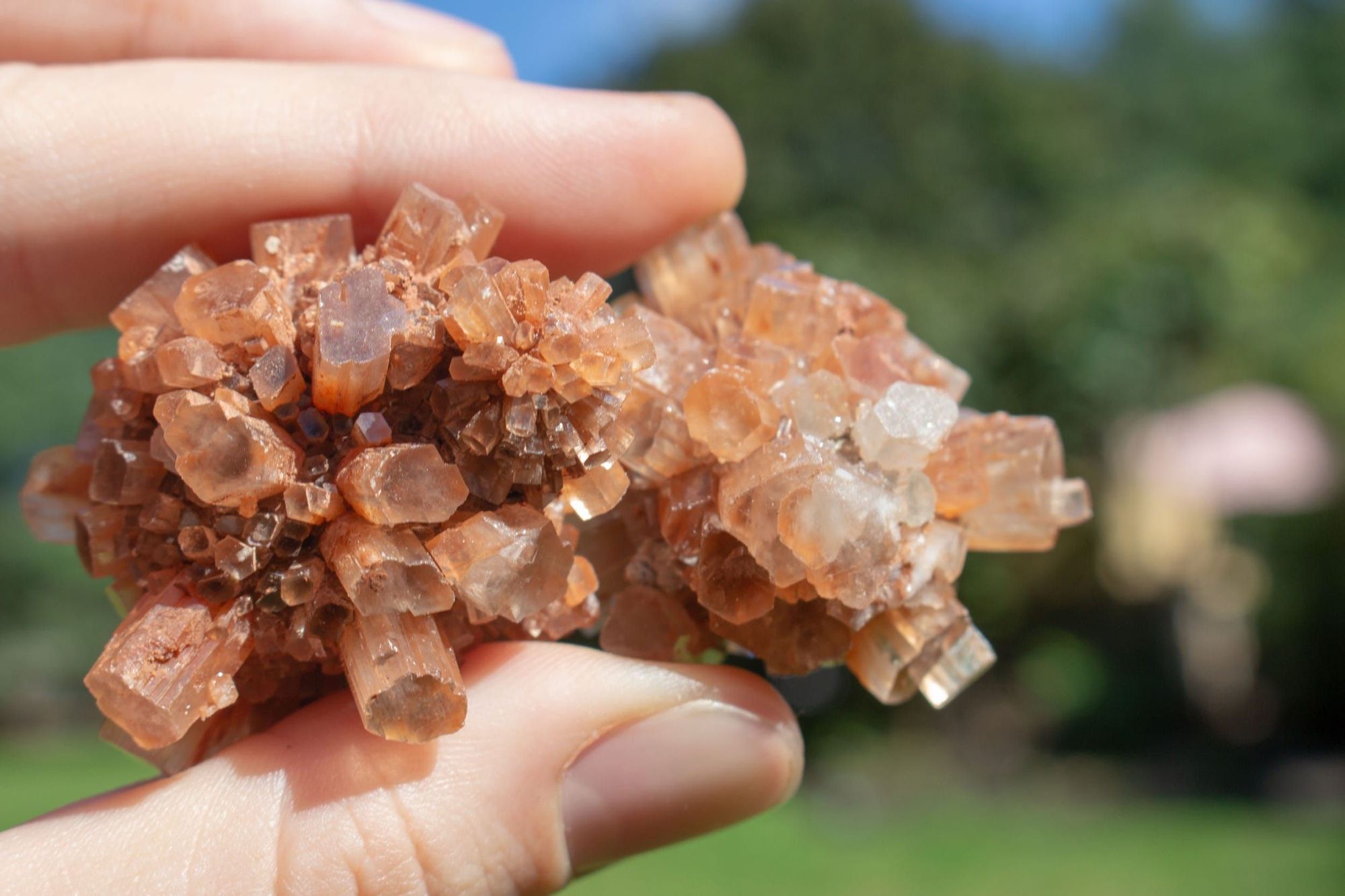 Everything you need to know about Aragonite Crystal